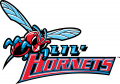 Delaware State Hornets 2004-Pres Misc Logo Print Decal