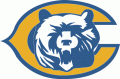 Chicago Bears 1993 Unused Logo Print Decal