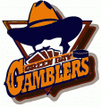 Green Bay Gamblers 1996 97-2002 03 Primary Logo Print Decal