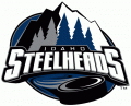 Idaho Steelheads 2006 07-2010 11 Primary Logo Iron On Transfer