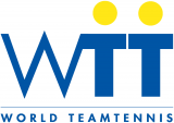 World TeamTennis 1994-1997 Primary Logo Print Decal