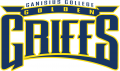 Canisius Golden Griffins 1999-2005 Wordmark Logo 02 Print Decal