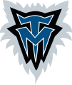 Minnesota Timberwolves 1996-2007 Alternate Logo Print Decal