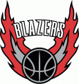 Portland Trail Blazers 2002-2003 Alternate Logo Iron On Transfer