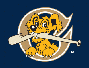 Charleston Riverdogs 2011-2015 Cap Logo 3 Iron On Transfer