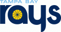 Tampa Bay Rays 2012-2018 Wordmark Logo Print Decal