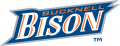 Bucknell Bison 2002-Pres Wordmark Logo Iron On Transfer