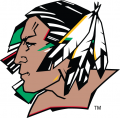 North Dakota Fighting Hawks 2007-2011 Primary Logo Print Decal