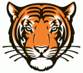Princeton Tigers 2003-Pres Alternate Logo 01 Print Decal