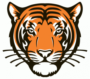 Princeton Tigers 2003-Pres Alternate Logo 01 Print Decal