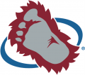 Colorado Avalanche 1995 96-1998 99 Secondary Logo Iron On Transfer