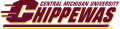 Central Michigan Chippewas 1997-Pres Wordmark Logo 02 Print Decal