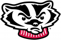 Wisconsin Badgers 2002-Pres Secondary Logo 02 Print Decal