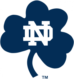 Notre Dame Fighting Irish 1994-Pres Alternate Logo 08 Iron On Transfer