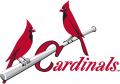 St.Louis Cardinals 1948-1964 Primary Logo Print Decal