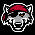 Erie SeaWolves 2013-Pres Cap Logo Iron On Transfer