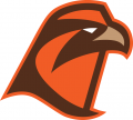 Bowling Green Falcons 2006-Pres Secondary Logo 03 Print Decal