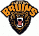 Austin Bruins 2010 11-Pres Primary Logo Iron On Transfer