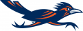 Texas-SA Roadrunners 2008-Pres Partial Logo Print Decal