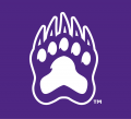 Central Arkansas Bears 2009-Pres Alternate Logo 13 Print Decal