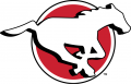 Calgary Stampeders 2016-2018 Primary Logo Iron On Transfer