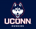 UConn Huskies 2013-Pres Alternate Logo Print Decal