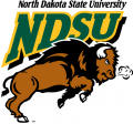 North Dakota State Bison 2005-2011 Primary Logo Print Decal