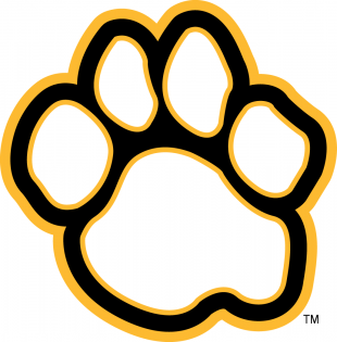 UMBC Retrievers 2010-Pres Alternate Logo 02 Iron On Transfer