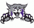 Weber State Wildcats 2012-Pres Alternate Logo Print Decal