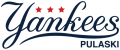 Pulaski Yankees 2015-Pres Primary Logo Print Decal
