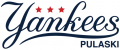 Pulaski Yankees 2015-Pres Primary Logo Iron On Transfer