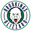 Brookings Blizzard 2016 17-Pres Primary Logo Iron On Transfer