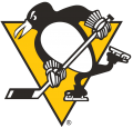 Pittsburgh Penguins 1972 73-1991 92 Primary Logo Iron On Transfer