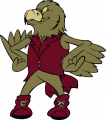 Denver Pioneers 1999-2003 Mascot Logo Print Decal
