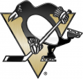Pittsburgh Penguins 2013 14 Special Event Logo Iron On Transfer