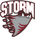 Guelph Storm 2007 08-2017 18 Primary Logo Iron On Transfer