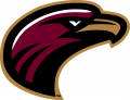 Louisiana-Monroe Warhawks 2006-Pres Secondary Logo Print Decal