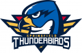 Springfield Thunderbird 2016 17-Pres Primary Logo Print Decal