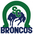 Swift Current Broncos 2014 15-Pres Primary Logo Print Decal
