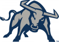 Utah State Aggies 2012-Pres Alternate Logo Iron On Transfer