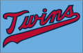 Minnesota Twins 2020-Pres Jersey Logo Print Decal