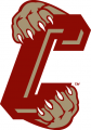 College of Charleston Cougars 2003-2012 Secondary Logo Print Decal