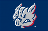 Lehigh Valley IronPigs 2014-Pres Cap Logo Iron On Transfer