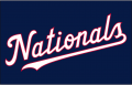Washington Nationals 2018-Pres Jersey Logo Print Decal
