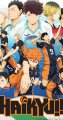 Haikyuu poster Iron On Transfer