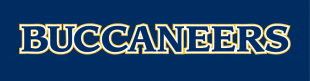 ETSU Buccaneers 2014-Pres Wordmark Logo Print Decal