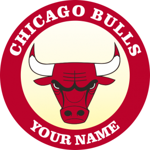 Chicago Bulls Customized Logo Iron On Transfer