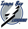 Tampa Bay Lightning 2001 02-2006 07 Primary Logo Print Decal