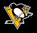 Pittsburgh Penguins 2014 15-2015 16 Throwback Logo Iron On Transfer