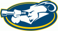 La Salle Explorers 2004-Pres Alternate Logo 03 Print Decal